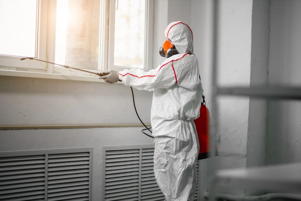 Professional mold remediation services in Papaikou, HI